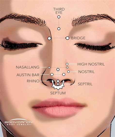 anatomy for septum piercing|septum piercing nose location.